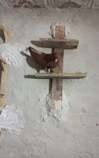 ده سفید ماده