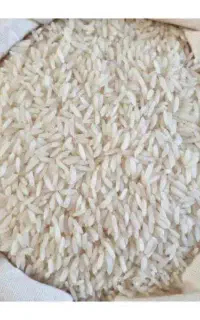 فروش برنج هاشمی  گیلان وانواع برنج ایرانی