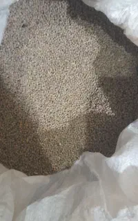 گاودانه