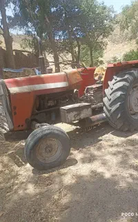فرگوسن285