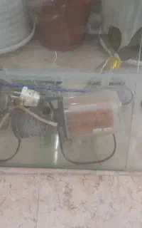 اکواریوم