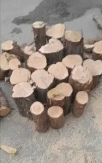 برش وهرس درخت و چوب