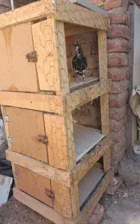 چفت توری سالم