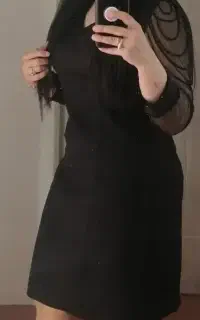 majlesi