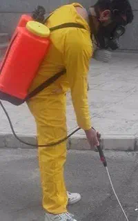 سمپاشی تضمینی سوسک ساس موریانه سم پاشی منازل موش