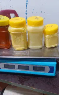 عسل گردو کشک تلف پنیر روغن