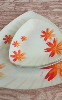 ظروف پذیرایی