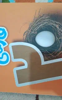 ماجرای بیست فارسی نهم