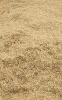 کاه نرم