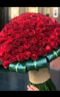 گلفروشی باکس دسته گل رز هلندی ایرانی عمده و جزئی