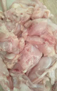 بچه فیله
