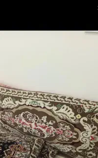 یک جفت پشتی رنگ کرم