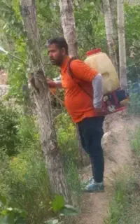 خدمات باغبانی هرس تعویض خاک باغچه