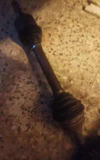 پلوس کوتاهی زانتیا با گردگیر اصلی