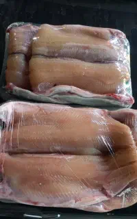 فروش ماهی قزل آلای فیله