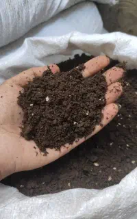 خاک غنی شده فضای سبز