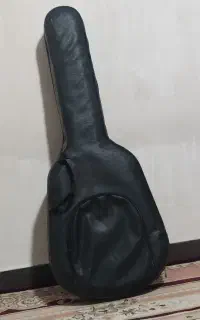جلد گیتار