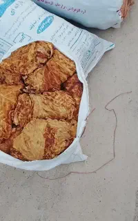 فروش بادوله در خدمتم