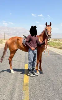 مادیون ترکمن 5ساله کورسی