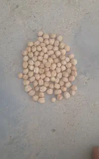 تخود