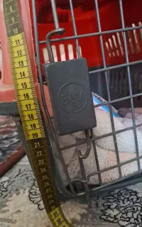 باکس سگ