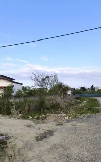 مشارکت در ساخت