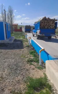 خرید فروش چوب صنوبر سوید باغی چوب کهنه