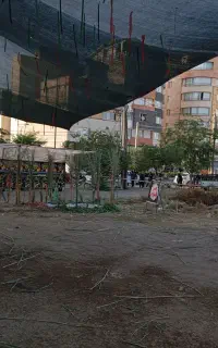 داربست فلزی معروفی