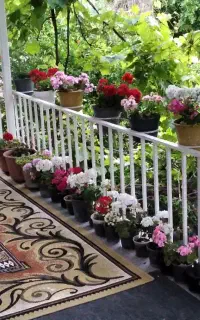 سوییت اجاره‌ای