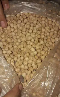 نخود درجه یک