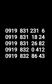 0919-831-231-6