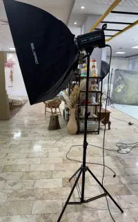 فلاش گودکس