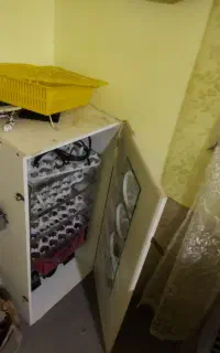 دستگاه جوجه کشی