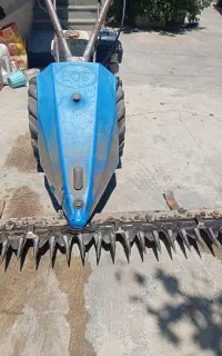 علف یونجه