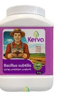 کود زیستی باسیلوس سوبتیلیس کروا