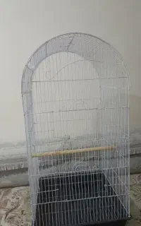 قفس پرنده و وسایل آن