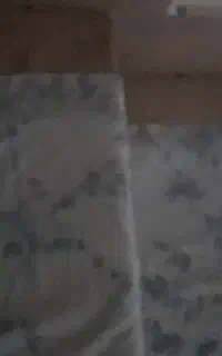 سیم کارت ۰۹۱۹ کار کرده