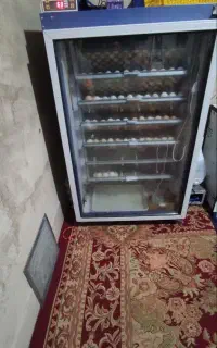 دستگاه جوجه کشی