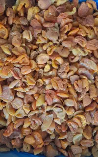 برگه قیسی اعلا