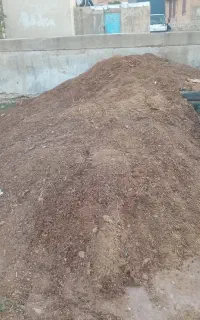 کود حیوانی