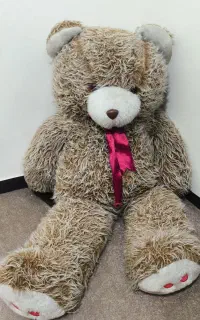خرس تدی