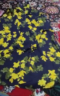باسلام دوعدد مانتو