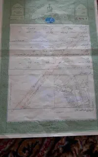 زمین کشاورزی جهت سرمایه گذاری