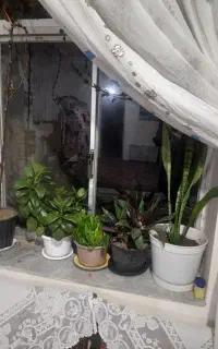پنجره آلومینیوم
