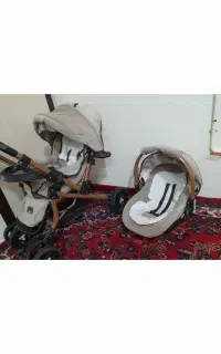کالسکه دلیجان مدل بنیتا