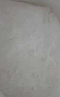آرد سبوس دار