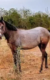 استخدام کارگر