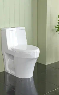 فرنگی هلنا چینی کرد