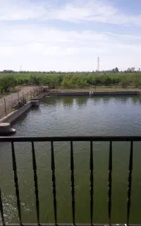 کارگر باغ