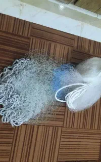 تور ماهیگیری